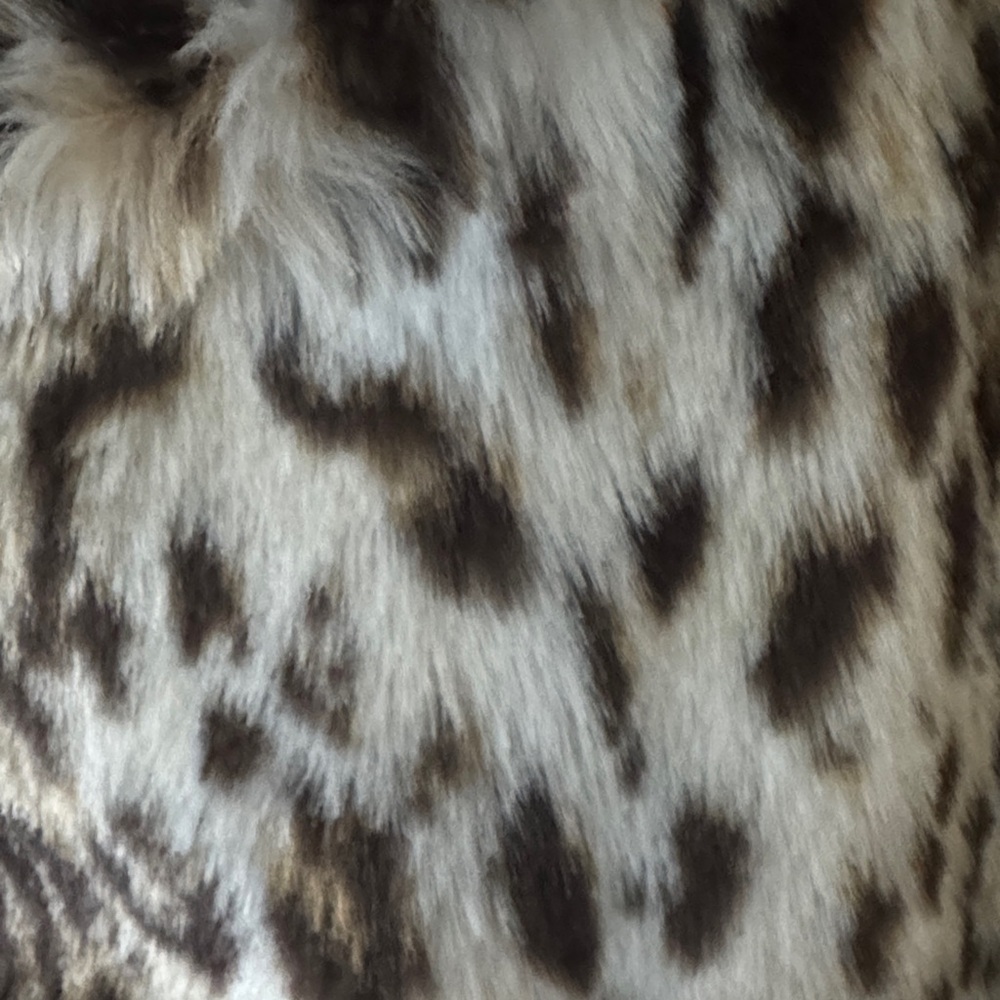Anthropologie Black and White Faux Fur Teddy Jacket - Picture 2 of 4